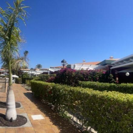 Bungalow Verdemar Maspalomas Maspalomas  Eksteriør billede